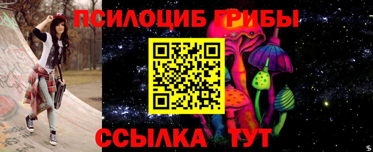 Псилоцибиновые грибы мухоморы Саяногорск